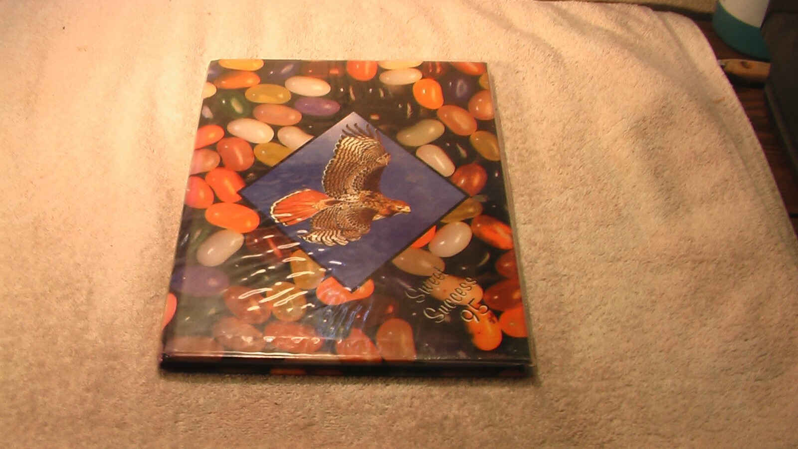 Kennedy Middle School Barstow yearbook 1995 eBay