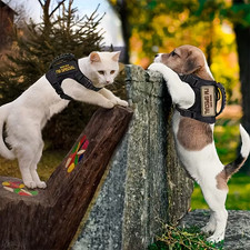 Adjustable Cat Harness Breakout Proof Nylon for Cats & Small Dogs