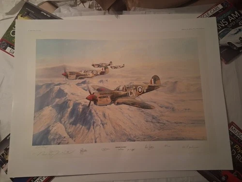 DESERT HAWKS by ROBERT TAYLOR, 2 PRINT A/P EDITION
