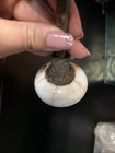 Beautiful Pair Rustic Antique Victorian White Porcelain Door Knobs -  As Is — photo 4