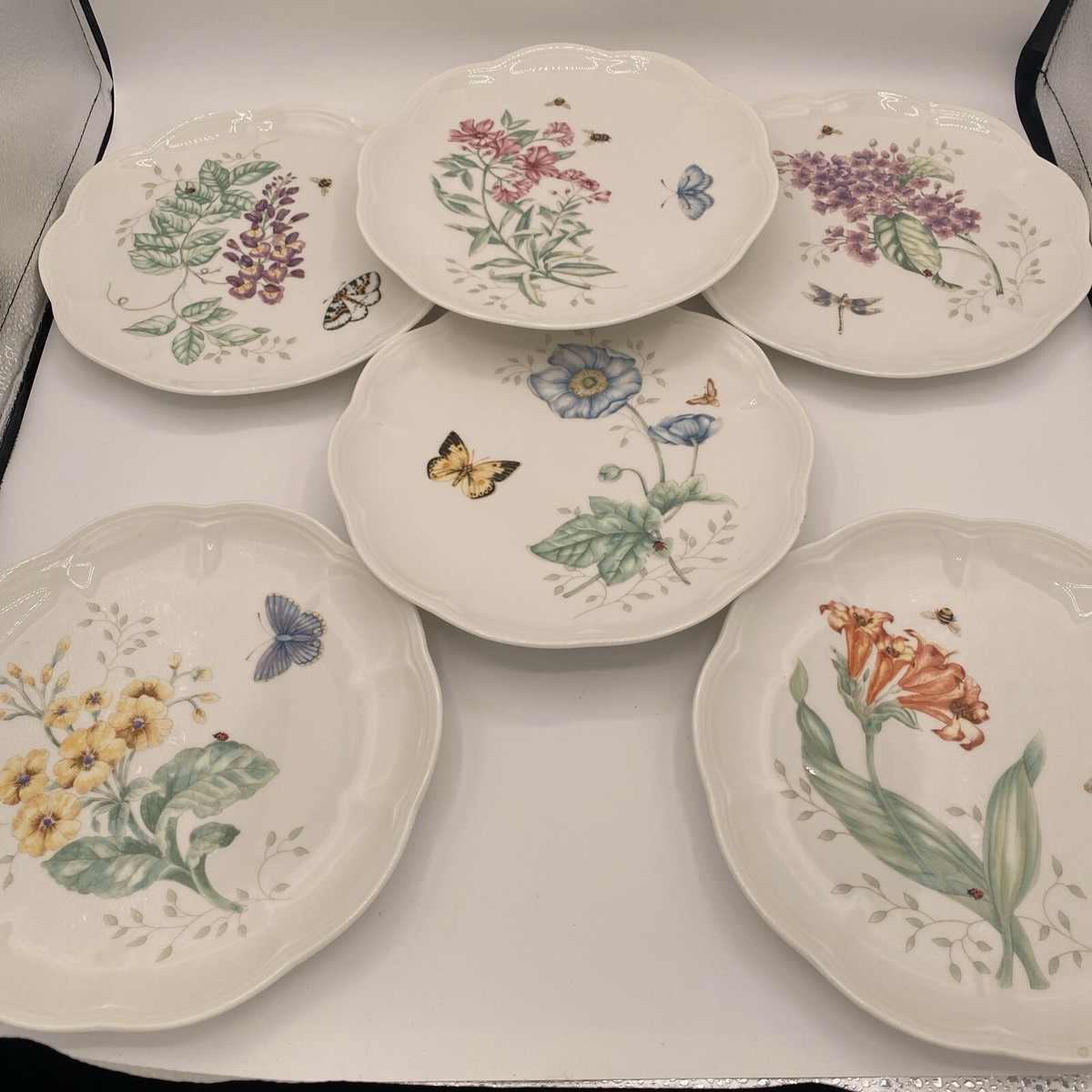 Dinner Plates Lenox Dishes Butterfly Meadow Lenox Butterfly Meadow