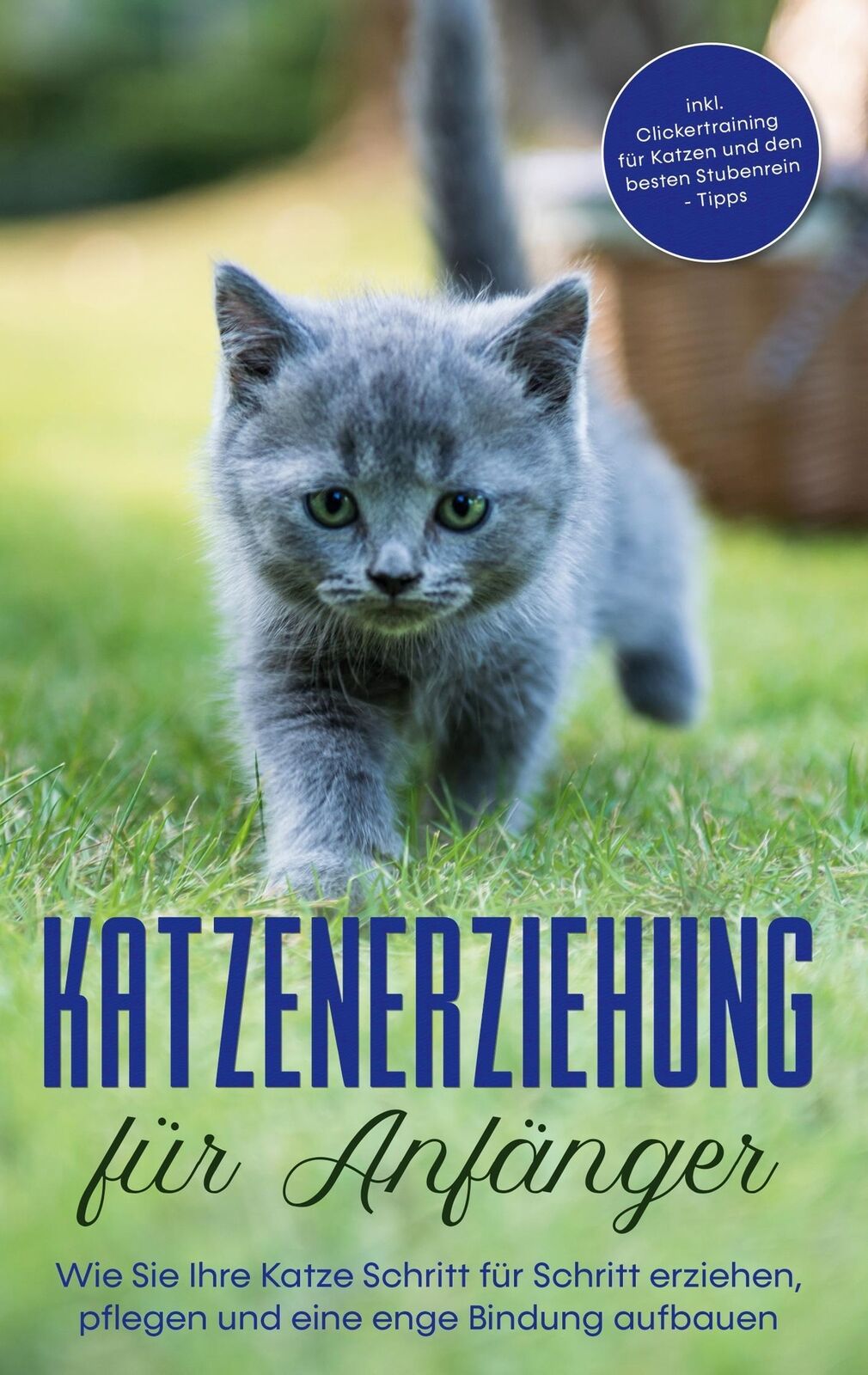 Thumbnail - Leonie Fokken | Katzenerziehung Für Anfänger: Wie Sie Ihre Katze
