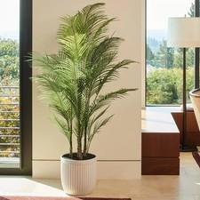Image of Artificial 6.5Ft Palm Tree in Ribbed Planter Decorative House Plant Home Indoor
