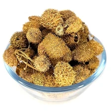 Eva Impex Bindal Doda Whole – Luffa Echinata Fruit