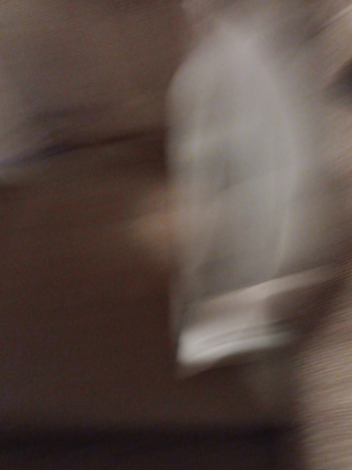 Bild 10 von 19