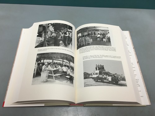 Morning Glory, Evening Shadow by Yamato Ichihashi WWII Internment Writings HC/DJ - Picture 11 of 12