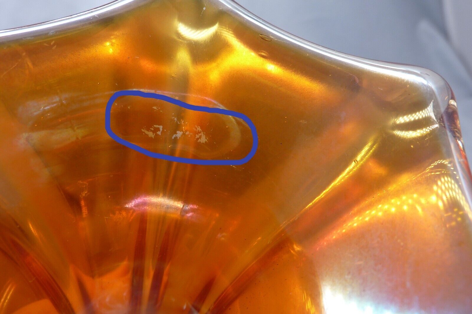 Picture 6 of 6