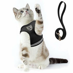 ebay cat harness