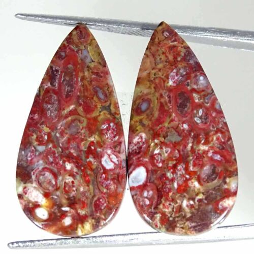 20.70Cts Natural Red Palm Root Agate Pear Pair Cabochon Loose Gemstone 13x26x4mm - Picture 1 of 3