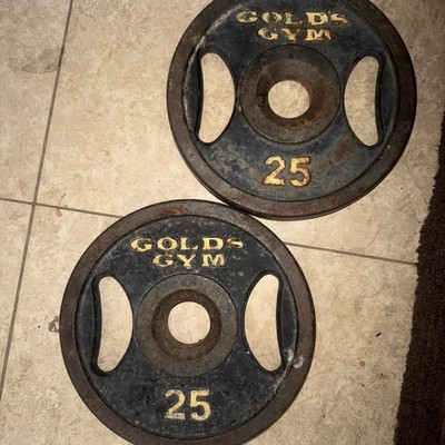 2 x GOLD S GYM 25 lb Weight Plates Easy Olympic Grip 2  Weights 50 lbs Golds Gym