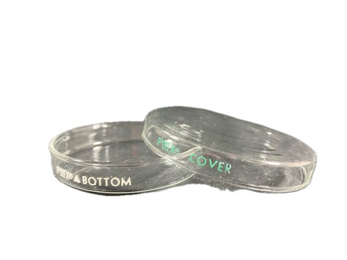PYREX Borosilicate Glass Petri Dish Bottom With Cover 100 x 15 mm 3160-100