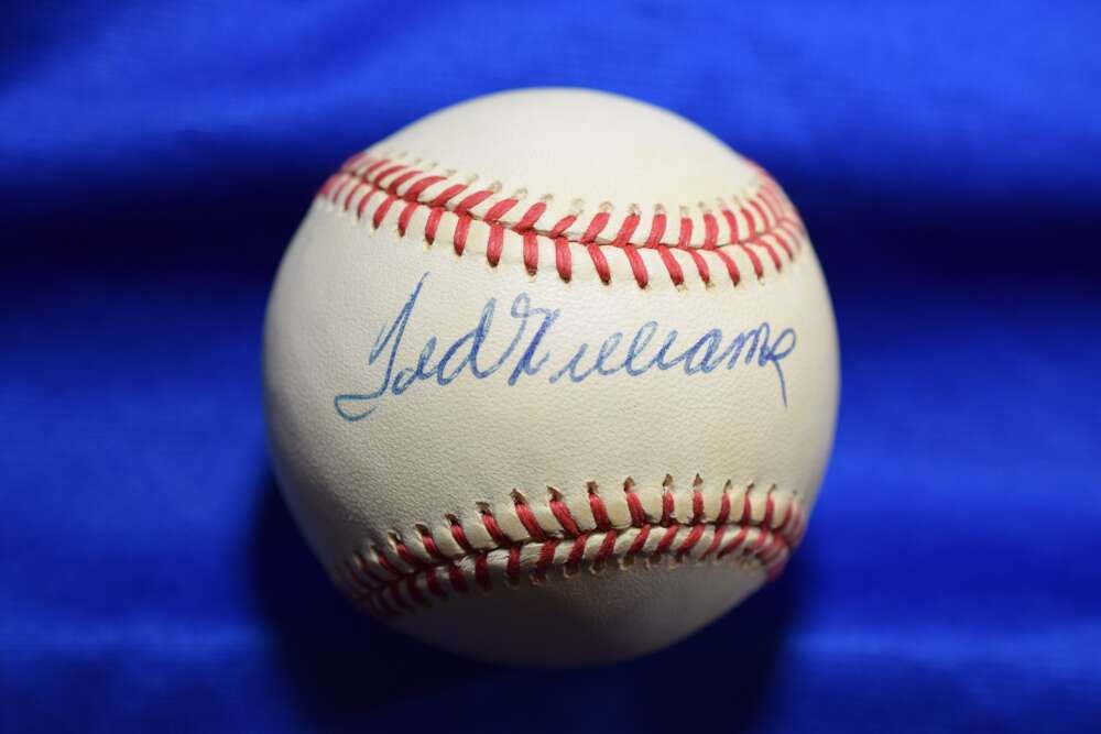 Ted Williams PSA DNA Autographed American League OAL Signed Baseball Red Sox