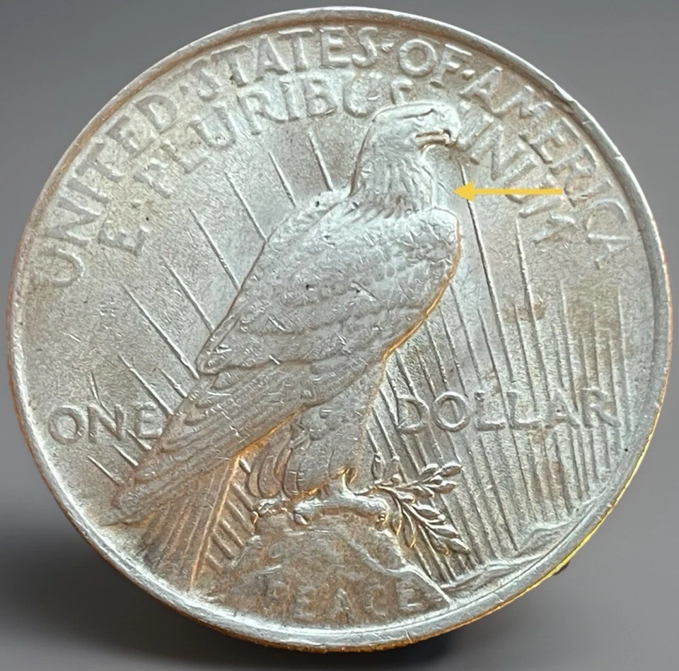1922-P Peace Dollar Error. Nice Die Clash Spike, Eagles Rt. Shoulder. PD-05 - Image 4 of 4