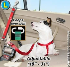 Seat Belt Tether for your pet - Stainless Steel - Large - PTST2 - Step 2 Brown