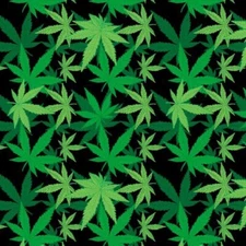 Cannabis Leaf Approximately 22x22in  Bandanna Made in USA 100% Cotton(I know)
