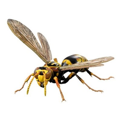 Bandai Gashapon Action Figure ADVANCE Paper Wasp Polistes jokahamae Japan 2026