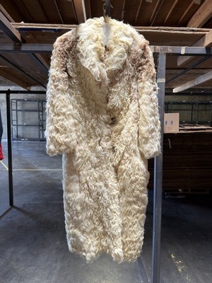 Fur Coat