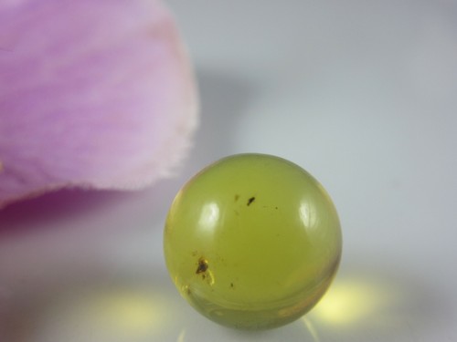 Dominican Blue Amber Bead Natural Authentic Sphere Gemstone 11.7 mm(0.8g) # AB49 - Picture 8 of 12
