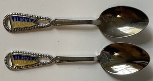 Lot Of 2 Alaska Collector Spoons , Enamel  On Handle