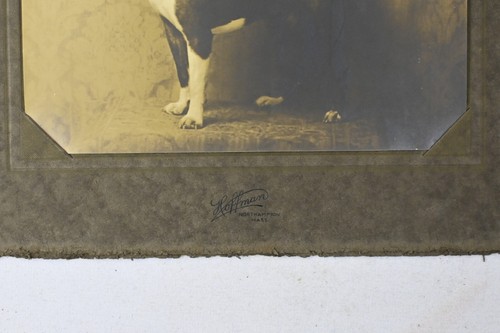 Retrato de perro vintage (7,25" x 8,5") - Imagen 3 de 4