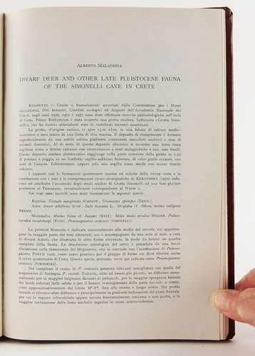Dwarf Deer & Other Late Pleistocene Fauna of the Simonelli Cave in Crete 1980 - Imagen 5 de 14