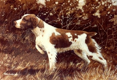 Brittany  Print By Martha Van Loan 11 x17