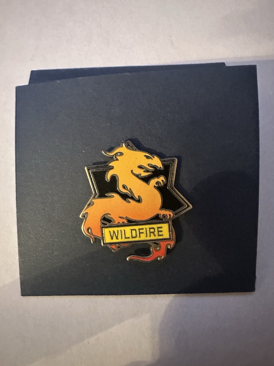 CS:GO Pins Collectible Pins with NO CODE PIN ONLY | eBay