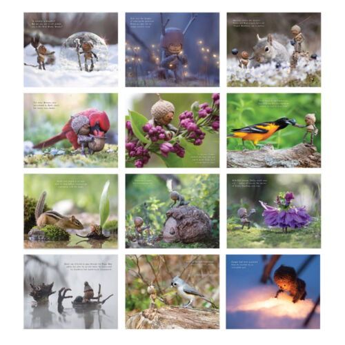 2025 Becorns Calendar Nature&Birds Theme THE ART OF -DAVID M BIRD Wall Calendar - Picture 4 of 7