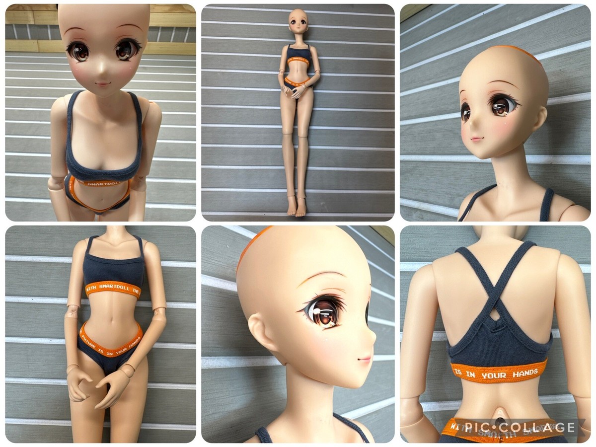 Smart Doll Mirai Evolve Body Cinnamon Danny Choo Culture Japan