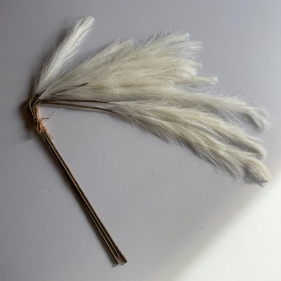 CRATE & BARREL Pampas Grass Bunch - Cream Faux Decorative Home Decor