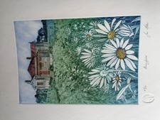 Daisy Field. By Jan Miller Paper Limited Edition Signed Numbered Print Framed A4