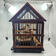 Vintage Asian Victorian Style with Owl & Egg in Nest House Pagoda Rustic.