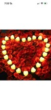 Rose Petals And 50 LED Tea Lights