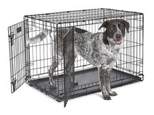 MidWest Homes iCrate 36in Double Door Folding Dog Crate Divider Leak-Proof Tray