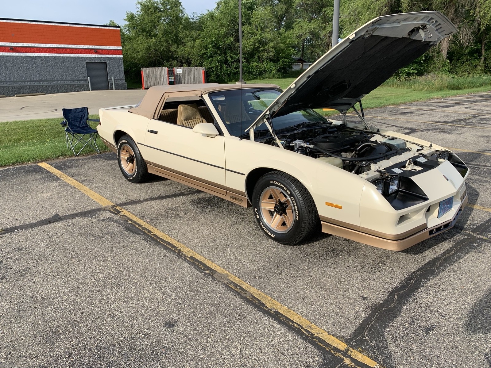 1983 Chevrolet Camaro for sale in Portage Wisconsin