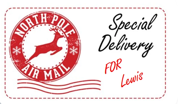 48 Personalised Christmas Special Delivery Labels Stickers Tags Presents Santa.