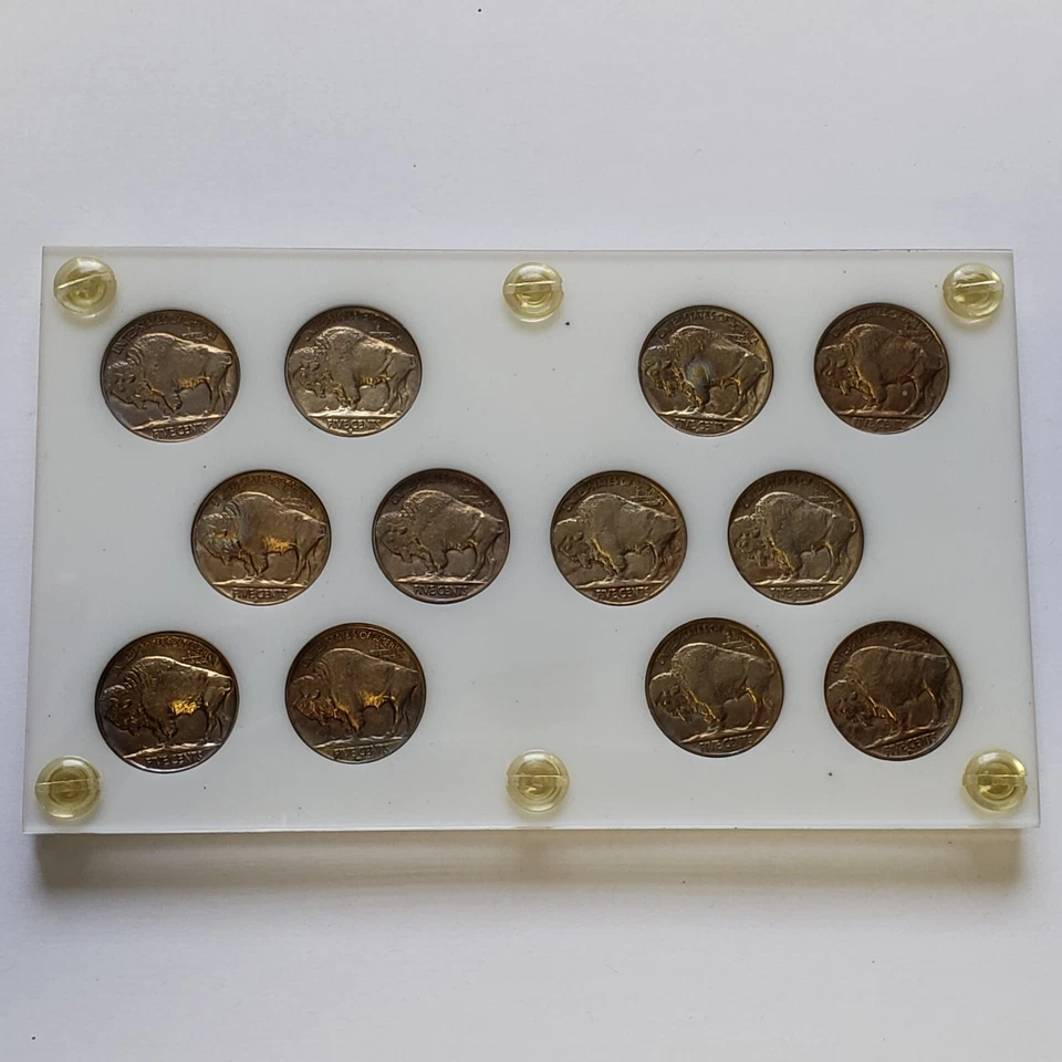 1934-38 Indian Buffalo Nickel Set - Rainbow Toning - Capital - VIDEO - F7018 - Image 2 of 4