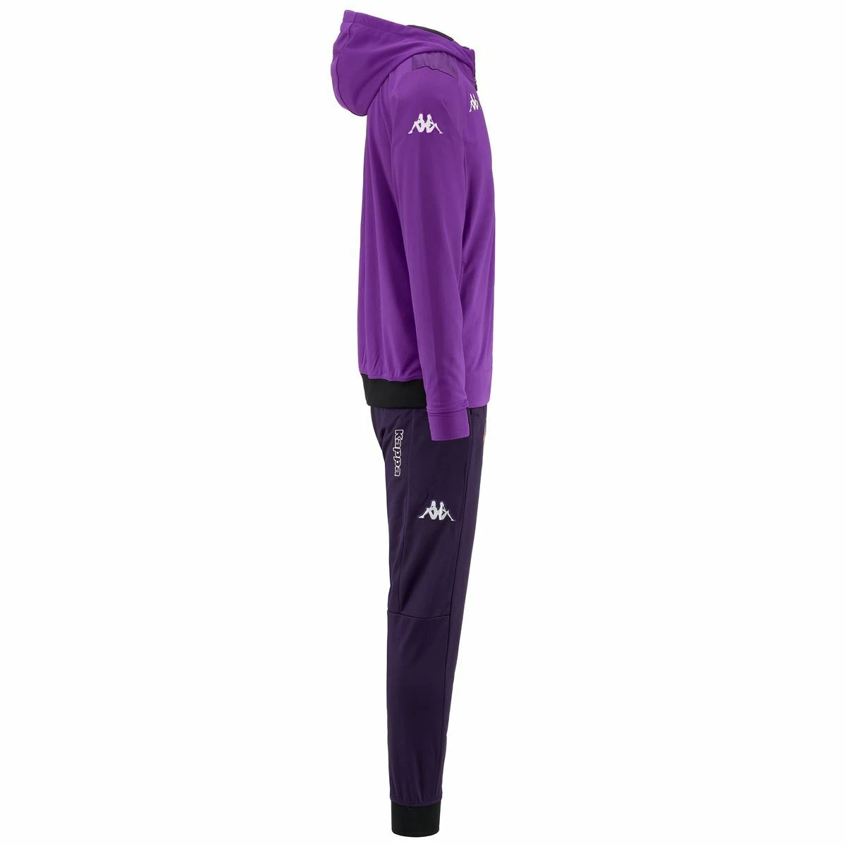 Tuta rappresentanza acetato uomo ACF Fiorentina 35112LW Viola Blu