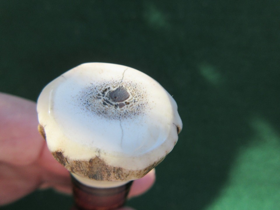 older NORTHWOODS Knife 4" Blade, Gladstone, MICH. Made Circa 2002, NOS