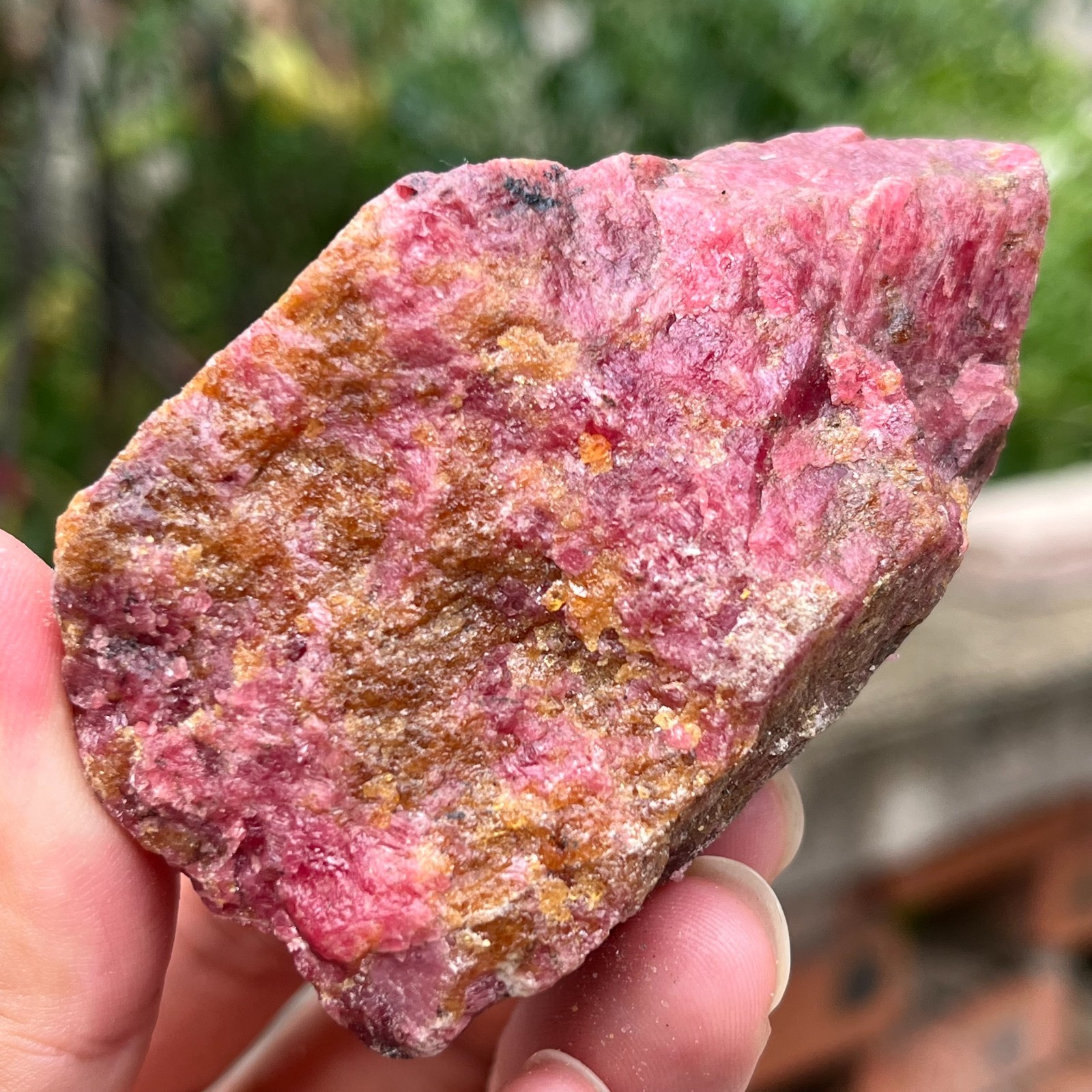 226g Small Raw Ore Red Black Rhodonite Quartz Gemstone Mineral Specimen