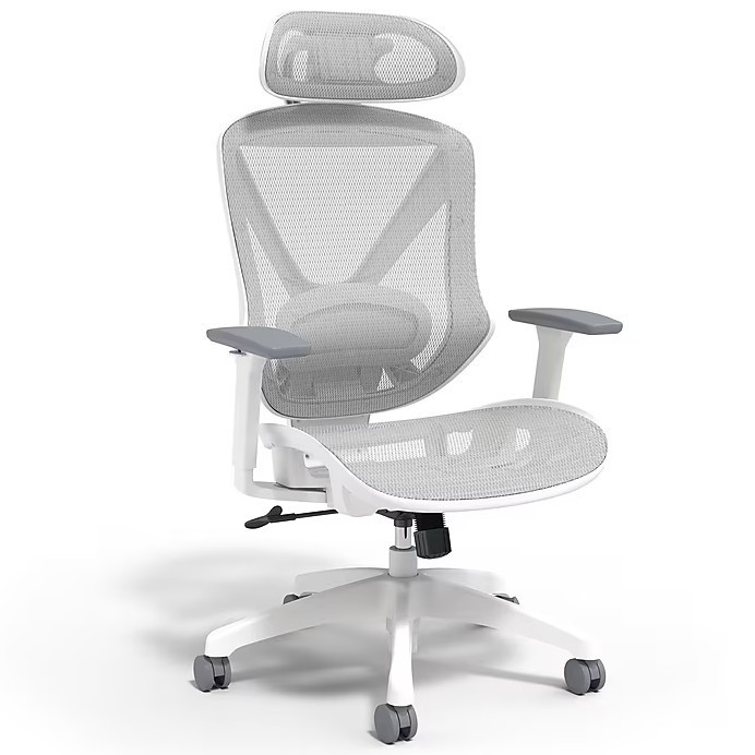 Staples Dexley Ergonomic Mesh Swivel Task Chair