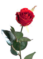 künstliche Rosenknospe rot 40cm Kunstblumen Einzelblumen