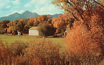 Postcard CO Autumn View Ranch Buildings foot of Mt Yale Chrome Vintage PC f7903