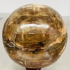 Natural Petrified Wood Polished Stone Quartz Crystal Sphere Ball Healing 2500G — photo 1