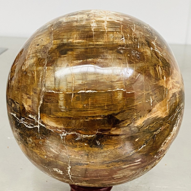 Natural Petrified Wood Polished Stone Quartz Crystal Sphere Ball Healing 2500G