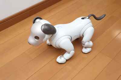 Sony AIBO ERS-1000 Entertainment Robot Dog accessories From Japan