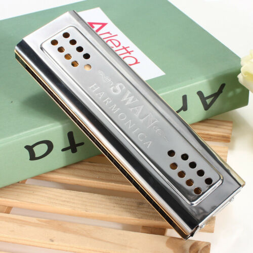 Professional Silver 24 Holes Double Sided C/G Key 2 Sides Mouth Organ Harmonica - Picture 2 of 6