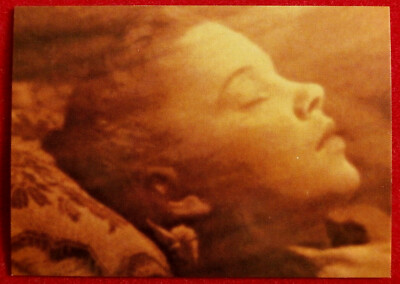 THE WIZARD OF OZ - Card #10 - DOROTHY'S DELIRIUM - BREYGENT 2006