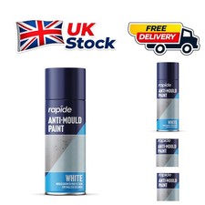 400ml Anti Mould Paint Spray - Protects Interior Walls from Damp Growth