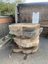 8 Large Oak Tree Trunk Stumps